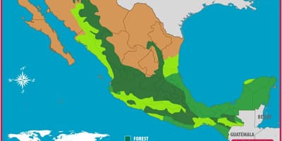 Ramani ya Mexico misitu